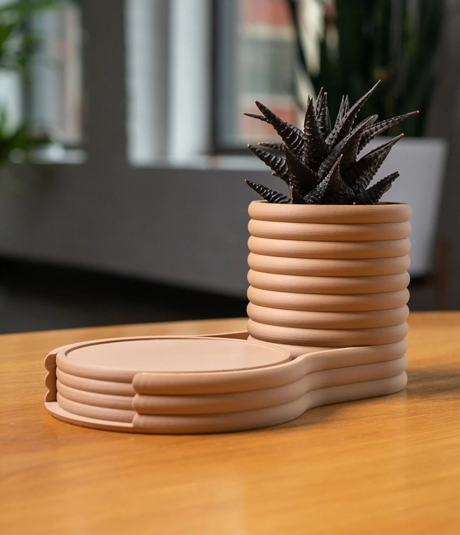 Coaster Planter