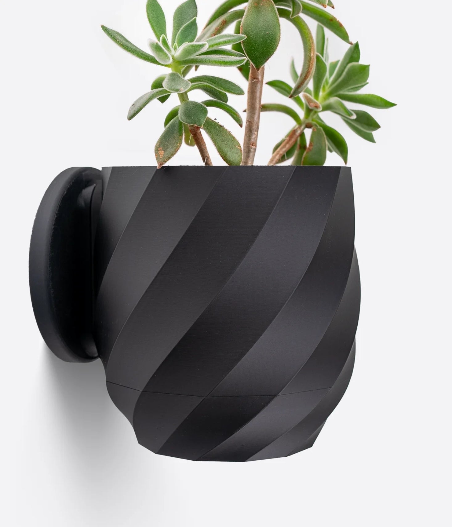 twisted Planter