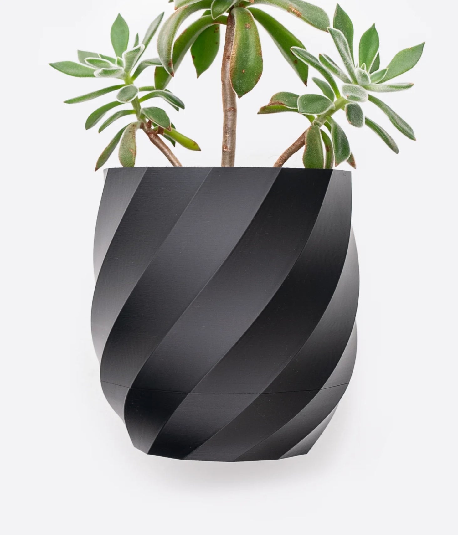 twisted Planter