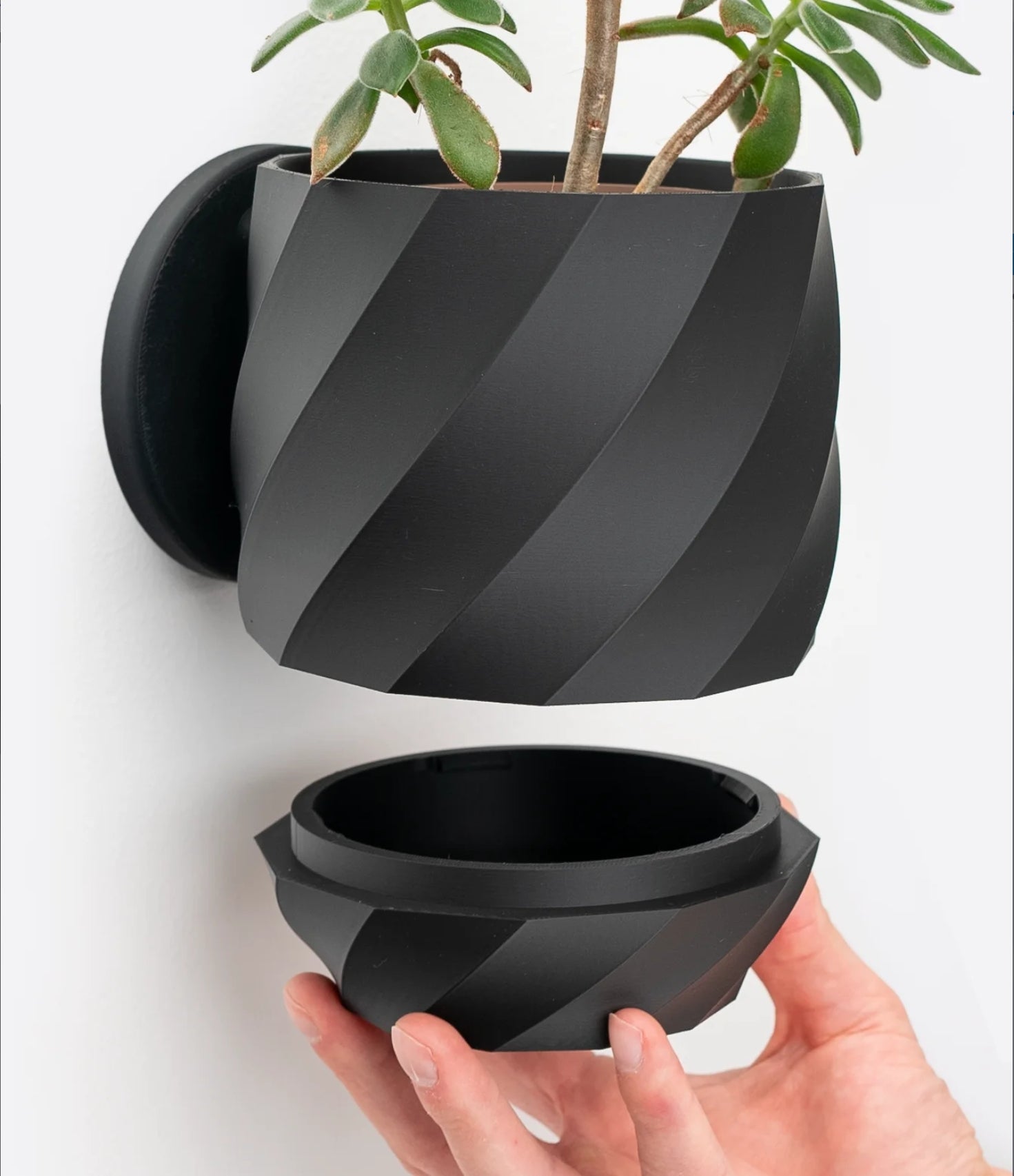 twisted Planter