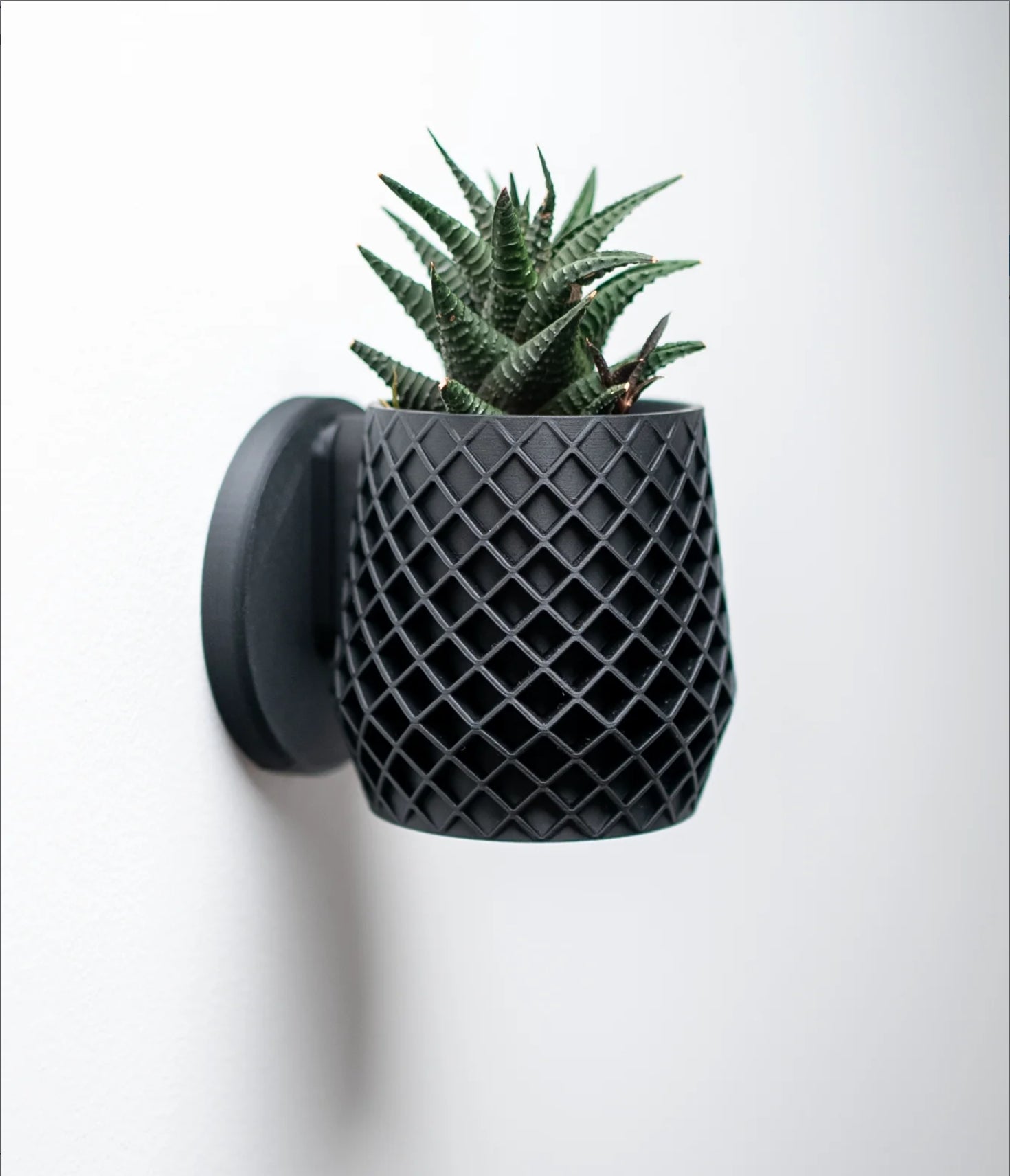 Lattice Planter
