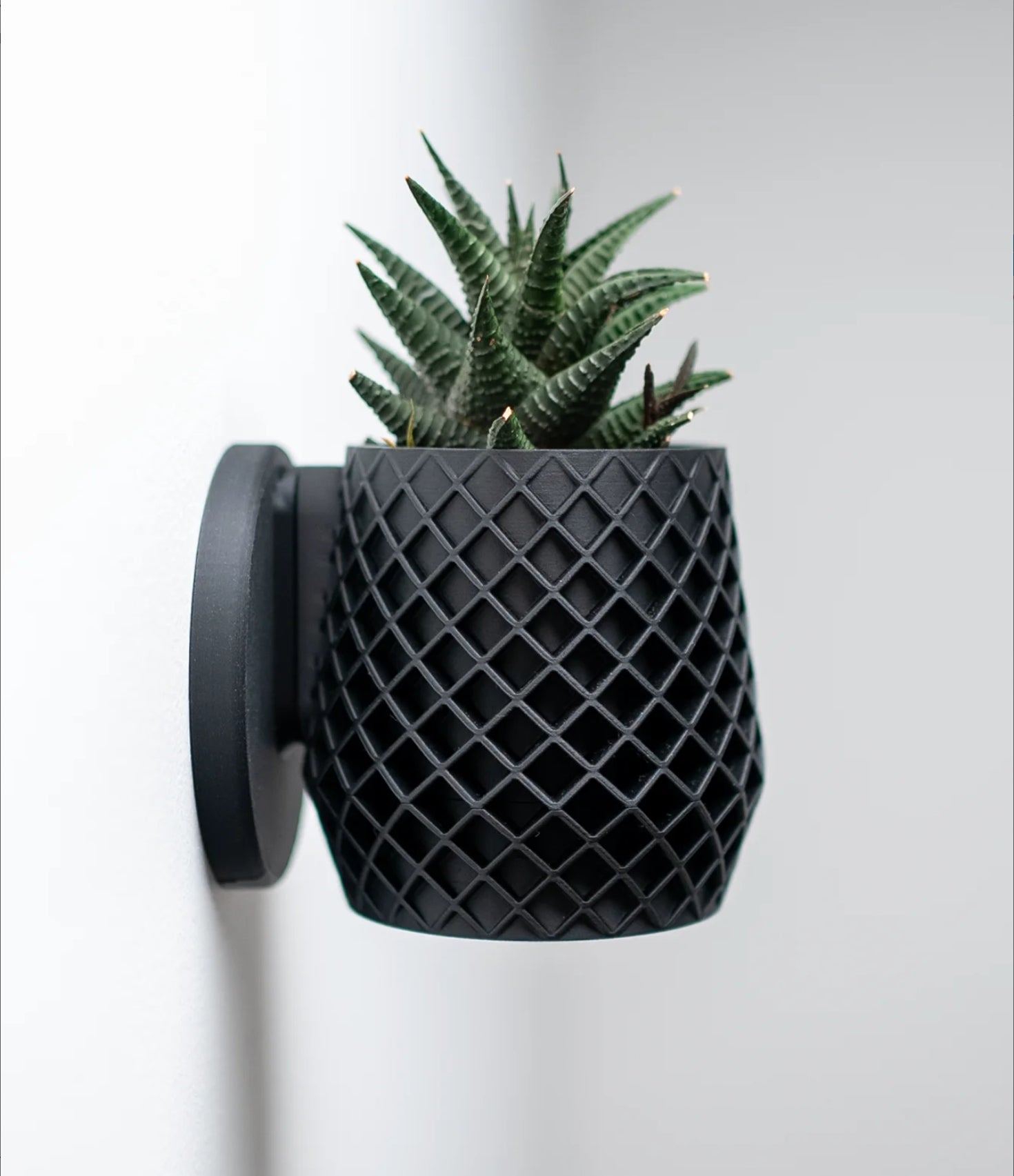 Lattice Planter